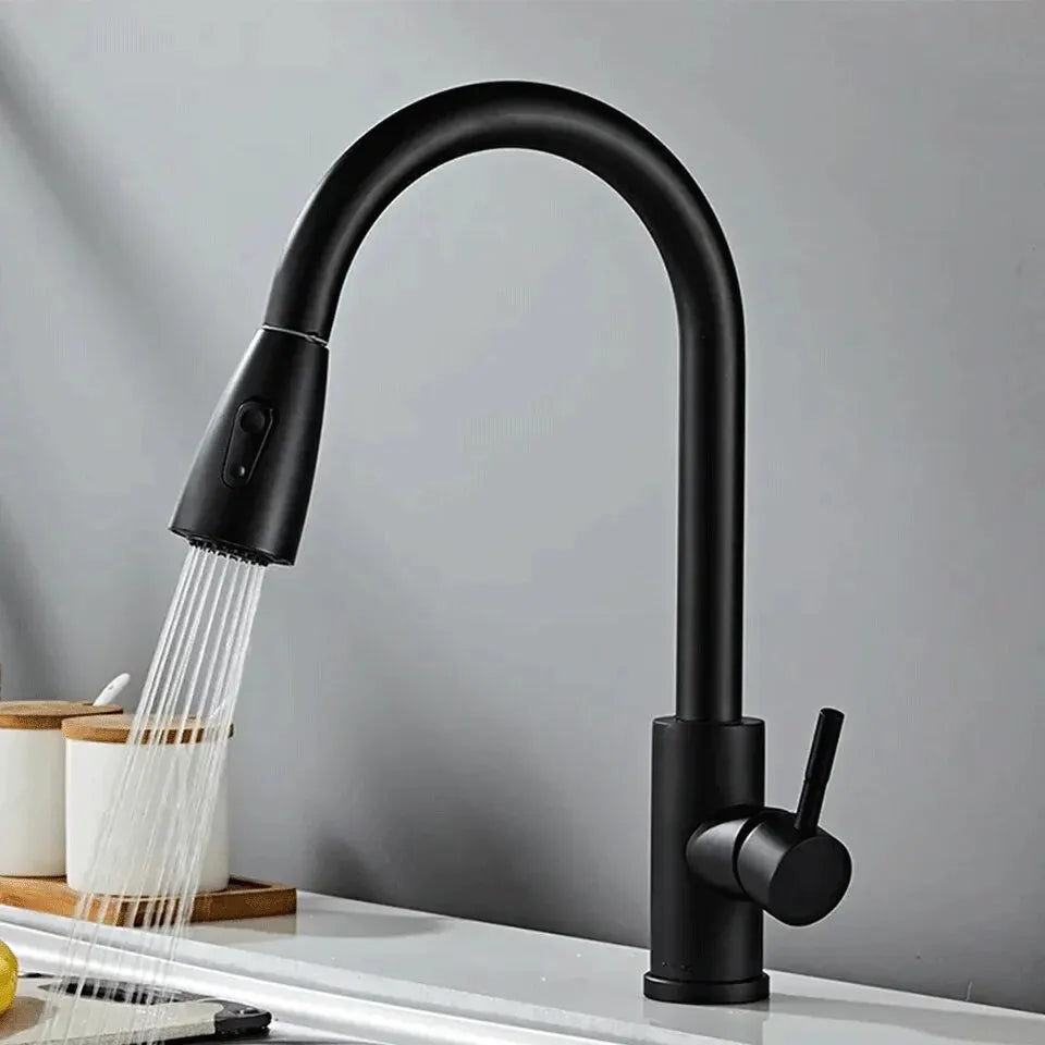 Stainless Steel Eco-Friendly Pull-Out Kitchen Faucet - Black